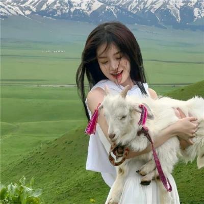 路人女主的养成方法 第二季